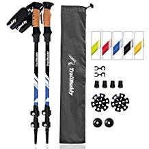 pair of trekking poles